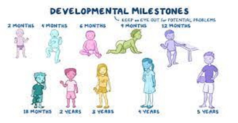 What Are Developmental Milestones